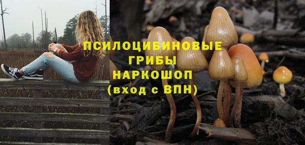 jwh Вязьма