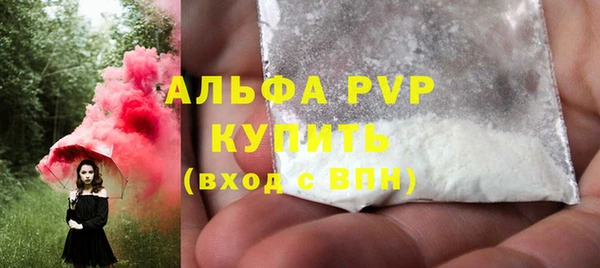амф Вяземский