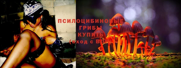 apvp Вязники