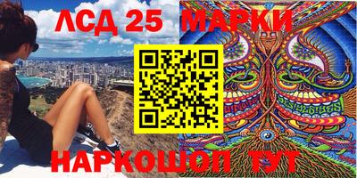 сатива Гай