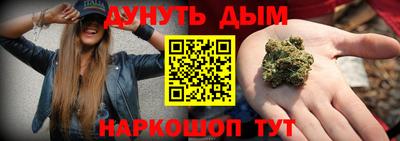 сатива Гай