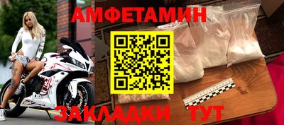 сатива Гай