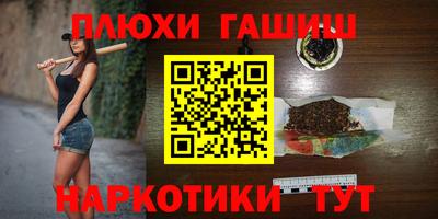 сатива Гай
