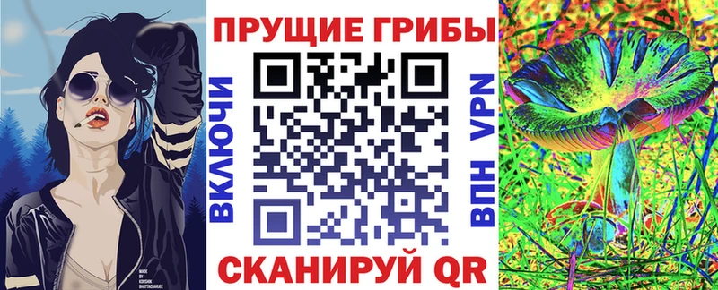 где купить наркоту Воткинск Псилоцибиновые грибы Psilocybine cubensis
