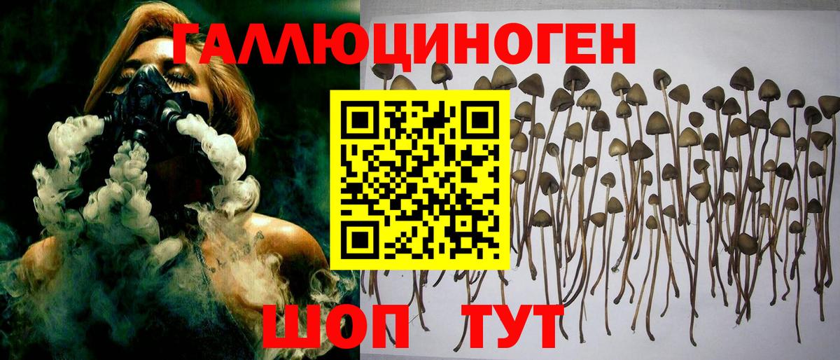 Воткинск  Псилоцибиновые грибы прущие грибы  Вход с VPN 