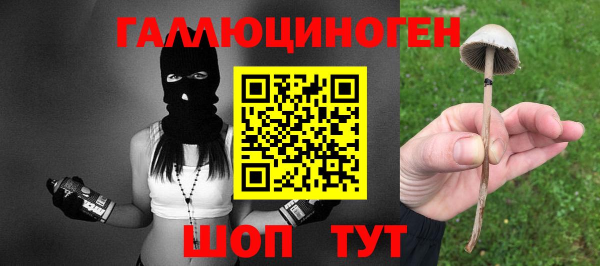 Галлюциногенные грибы Psilocybine cubensis Воткинск